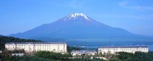 IMG_8251
